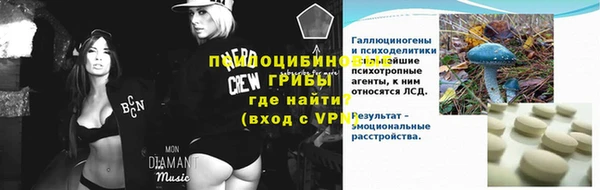 гидра Алексеевка