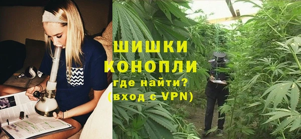 трава Абаза