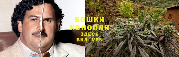 гидра Алексеевка