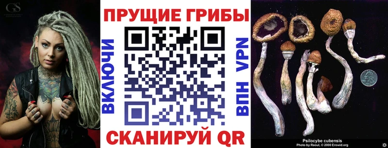 Псилоцибиновые грибы мухоморы как найти закладки Волоколамск